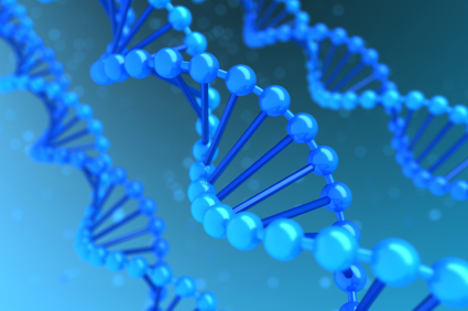 HPV-DNA Test HPV-DNA Test