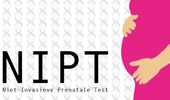 Cell Free DNA Test o NIPT Cell Free DNA Test o NIPT
